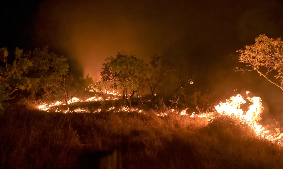 Incendio Jader Souza Al Roraima